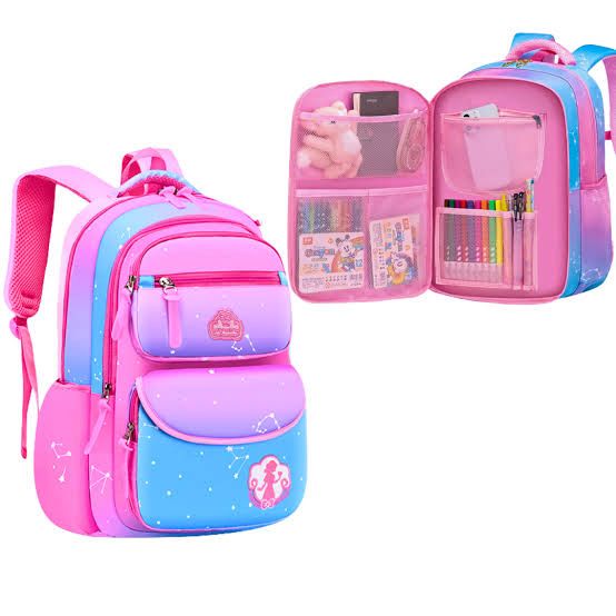 College Middle High Elementary School Bag